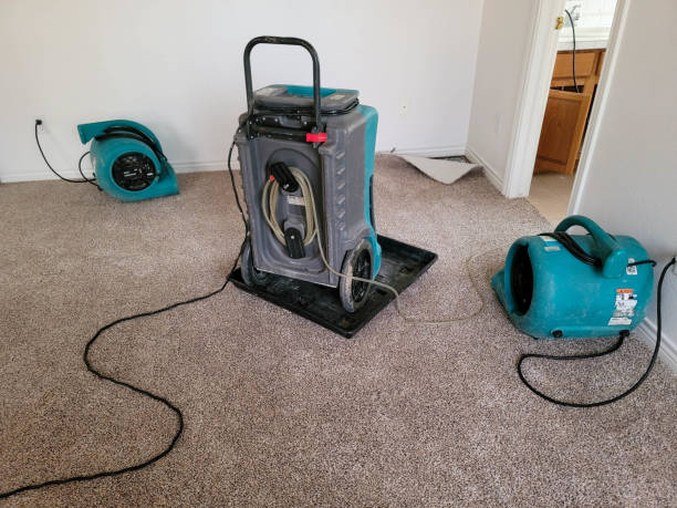 Best 24/7 water damage repair  in Hartley, CA