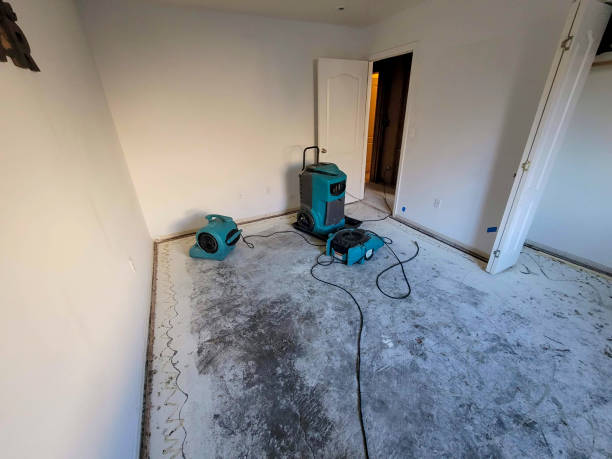 Best Residential water damage restoration  in Hartley, CA