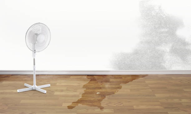 Best Carpet water damage restoration  in Hartley, CA
