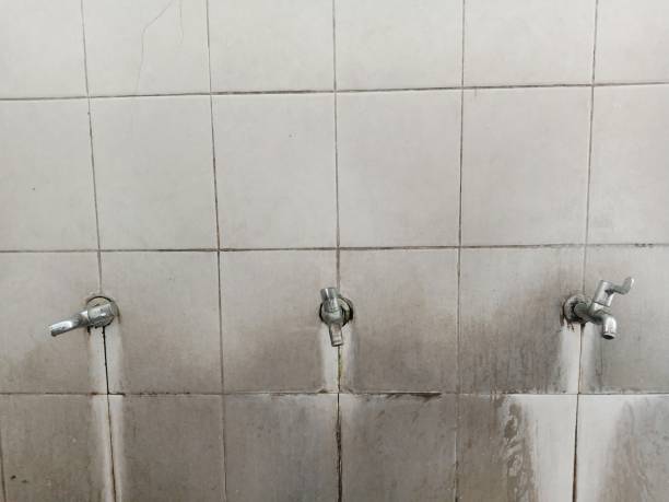 Best Ceiling water damage repair  in Hartley, CA