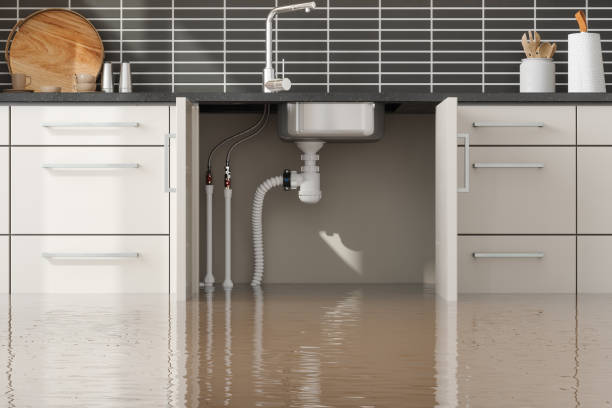 Best Water damage cleanup near me  in Hartley, CA