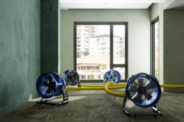 Best Local water damage restoration  in Hartley, CA